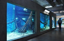 BH Aquarium
